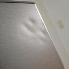 AQUA ノンフロン冷凍冷蔵庫の画像