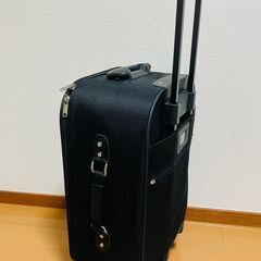Ravi Mine キャリーケース(スーツケース)旅行用バッグ　30L前後　南京錠付きの画像