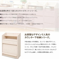 カウンター下を彩る収納 カウンター下キャビネット 幅60.5 デ...