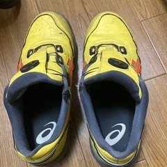 アシックス安全靴BoA
の画像