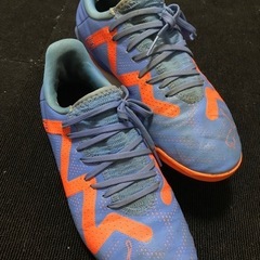 トレシュー　PUMA24.5cm