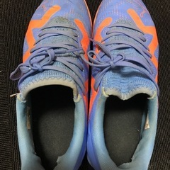 トレシュー　PUMA24.5cmの画像