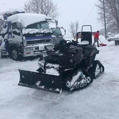 (商談中
)カワサキ　ブルートフォース750の画像