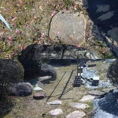 6月14日の午前中10:30～12:30と6月28日土曜日・
12:00-13:00・
16:30～暗くなる頃まで。 剪定済みの木々②★石★庭石★外構★DIY★サルスベリ★椿★紅葉★和風庭園★ 大きな庭石、小さな庭石、飛び石、松の木、サザンカ、その他の木、灯篭、飾り岩、水鉢など、石碑、譲りますの画像