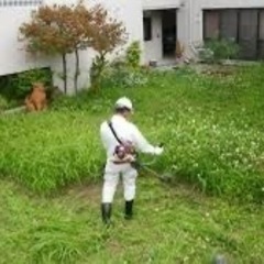 草刈り、力仕事、片付けなど