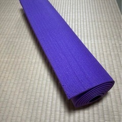 腹筋ローラー、トレーニングマットセットの画像