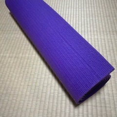 腹筋ローラー、トレーニングマットセットの画像