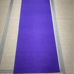 腹筋ローラー、トレーニングマットセットの画像