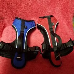 犬用　ハーネス　PetSafe　EasySport　size  XS　小型犬用　散歩の画像