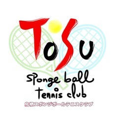スポンジテニス、ピックルボール