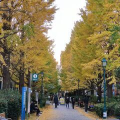 お子さんの数学を真剣に伸ばしたいご両親の皆様へ（オンライン…