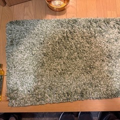 29日に捨てます　ニトリの玄関マット