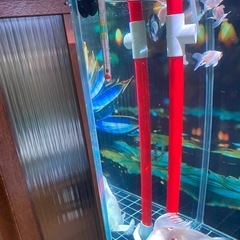 赤と白の水槽用フィルター
