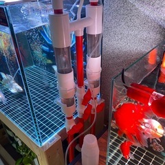 赤と白の水槽用フィルター
