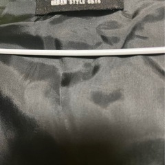 チョッキダウンの画像