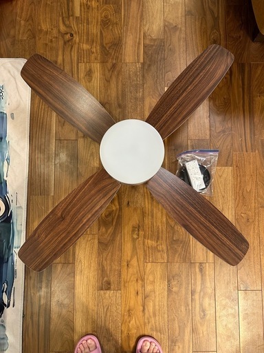 シーリングファンライト