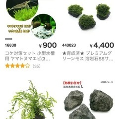 ウィローモス付き色々の画像