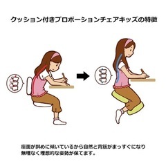 クッション付きプロポーションチェアの画像