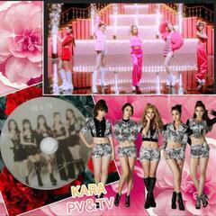 KARA　PV＆TVの画像