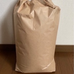 令和6年コシヒカリ10k