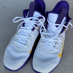 27cm　ナイキ メンズ レブロン ウィットネス４ Nike L...