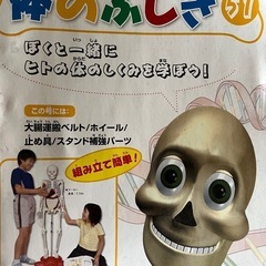 無料【全80巻】体の不思議