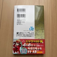 新品　ONE PIECE 101巻の画像