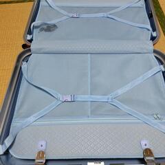 キャリーバッグの画像