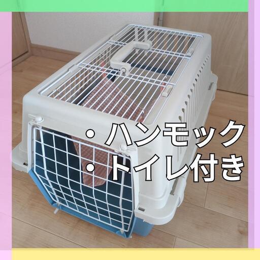 フェレットキャリー　アトラス30オープン　キャリー　【犬　猫　　ペットケージ】