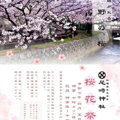 お花見　桜　めだか　めだかすくい　おもちゃすくい　メダカ　フリマ