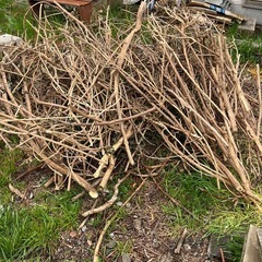 ウッドチッパー貸し出しできます！ - 手伝いたい/助けたい