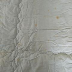 使用用途限定①　羊毛肌ふとんの画像