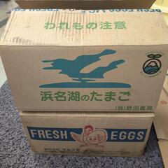 中古 卵トレー タマゴトレー 紙製  飼育用  の画像