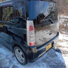 スティングレーの画像