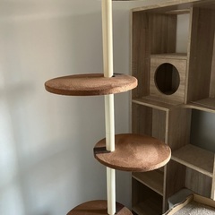 美品//キャットタワー固定タイプ、壁傷つかず、雑誌掲載商品、美品の画像