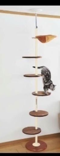美品//キャットタワー固定タイプ、壁傷つかず、雑誌掲載商品、美品
