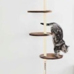 キャットタワー固定タイプ、壁傷つかず、雑誌掲載商品、美品