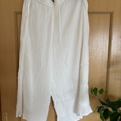 【決まりました】【最終値下げ‼️】新品未使用品‼️プラステ ワイ...