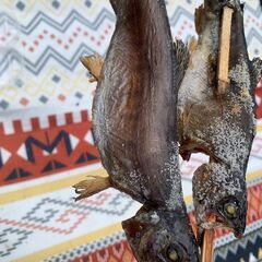 ルアーフィッシングをはじめてみませんか？管理釣り場での釣り体験！の画像