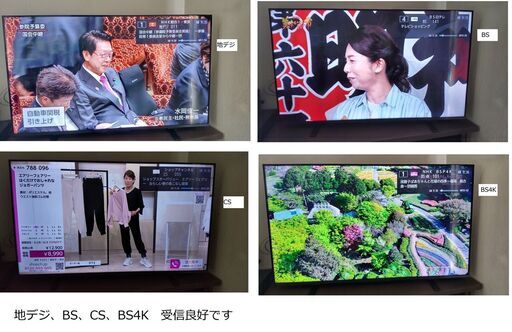 【ほぼ未使用】2025年製 50インチ Regza TV レグザ 液晶テレビ(型番:50M550M)