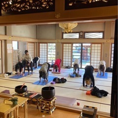 生野区ヨガ教室|お寺ヨガ|🔰大歓迎の画像