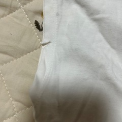 アナ雪　エルサ　半袖ワンピース　レース　夏服104㎝の画像