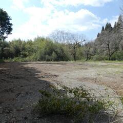 鹿児島市宮之浦町【売地】田舎暮らし住宅用・事業用平坦地２筆約1,460坪650万円 − 鹿児島県