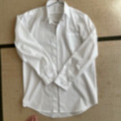 Yシャツ　170センチ