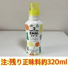 [キッチン] 衣類お手入れセット(洗濯ネット/ムシューダ/リセッシュ/エマール)の画像