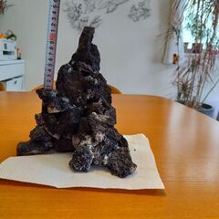 決まりました！！アクアリウム　ADA雲山石レイアウト製作品の画像