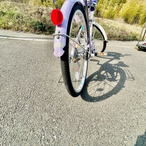 【引取のみ】ブリヂストン　エコパル　22インチ　子供自転車　美品✨ ブリヂストン エコパル22 子供自転車 22インチ [EPL201]| 自転車