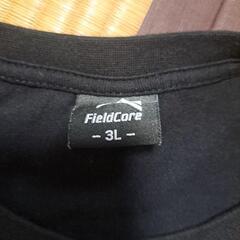 フィールドコア　メンズTシャツの画像