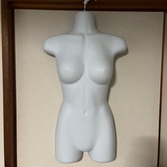 トルソーハンガー 女性
