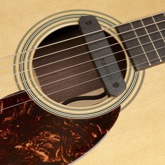 （今週末限定）FISHMAN 
Neo-D Magnetic S...